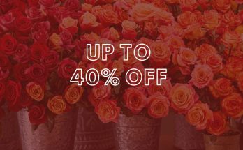 1800 Flowers Annual Rose Sale