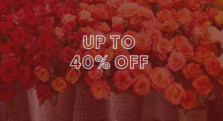 1800 Flowers Annual Rose Sale