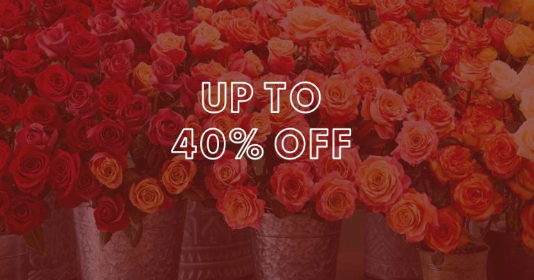1800 Flowers Annual Rose Sale – Up to 40% Off